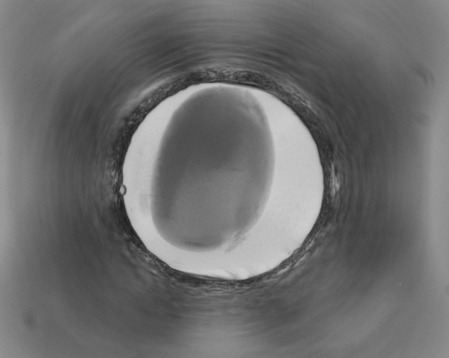 X0000113050822200910081229