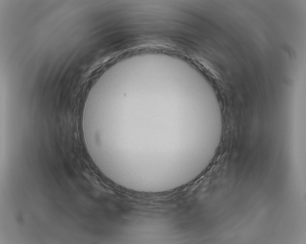 X0000113050824200910081229
