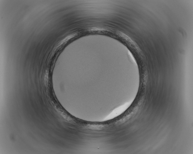 X0000113050825200910081229