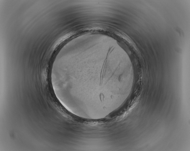 X0000113050826200910081229