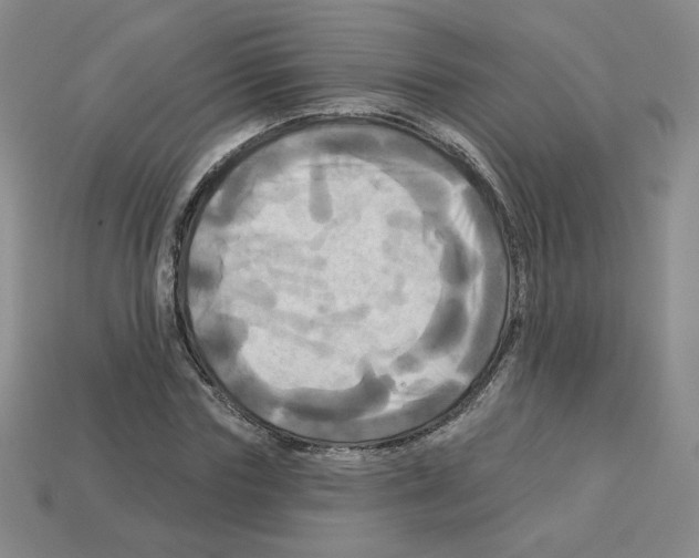 X0000113050827200910081230