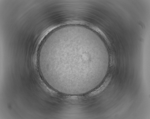 X0000113050828200910081230