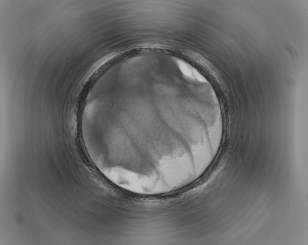 X0000113050829200910081230