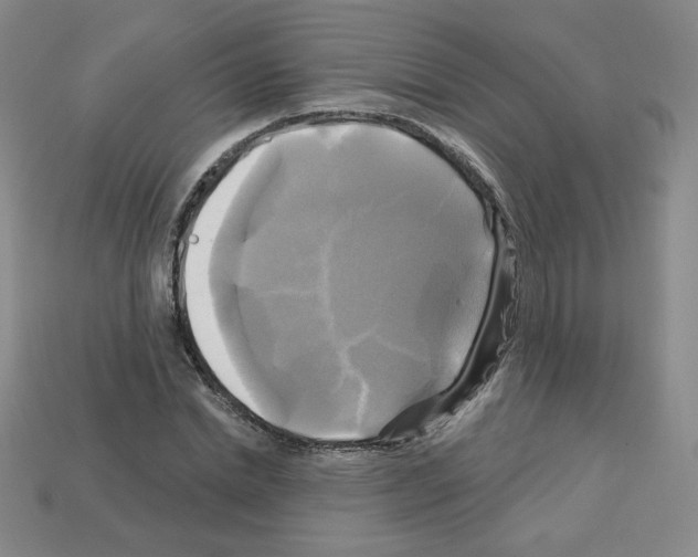 X0000113050830200910081230
