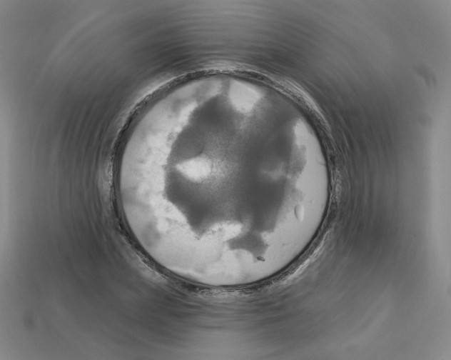 X0000113050831200910081230