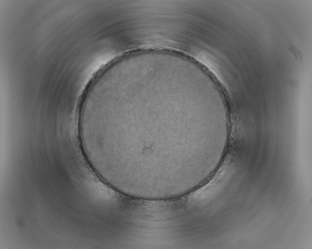 X0000113050832200910081230