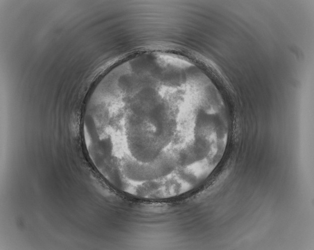 X0000113050833200910081230