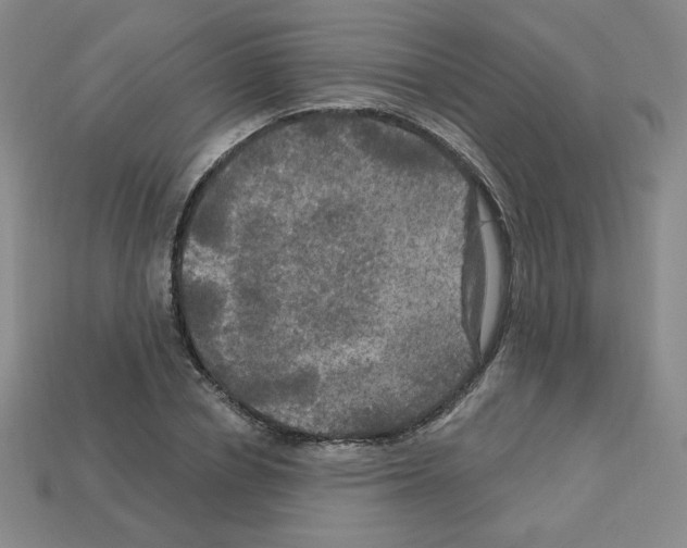 X0000113050834200910081230