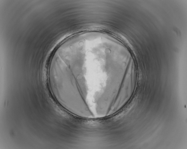 X0000113050835200910081230