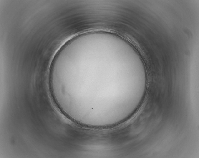 X0000113050836200910081230