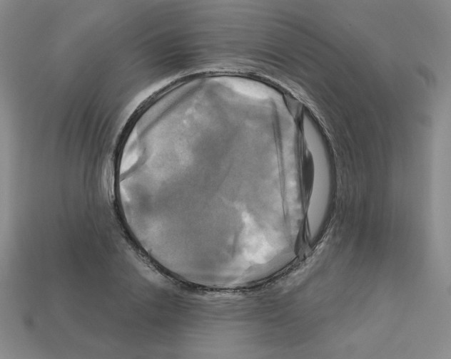 X0000113050838200910081230