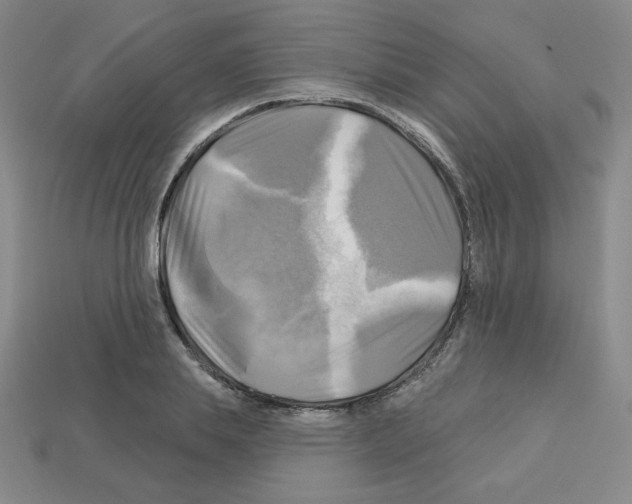 X0000113050839200910081230