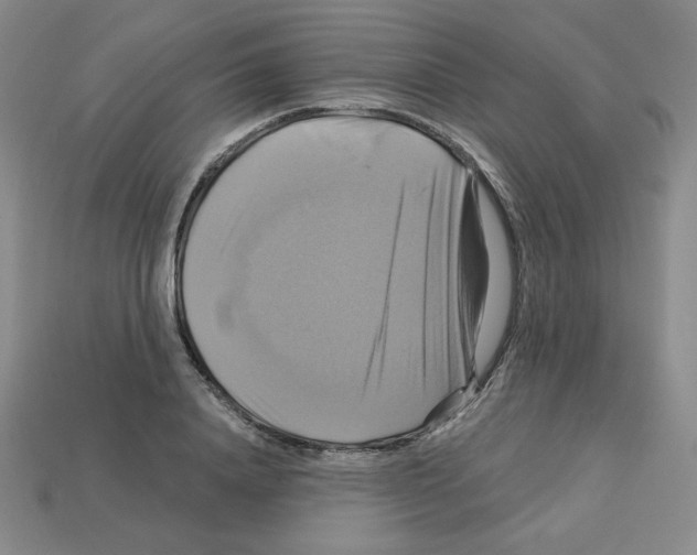 X0000113050840200910081230