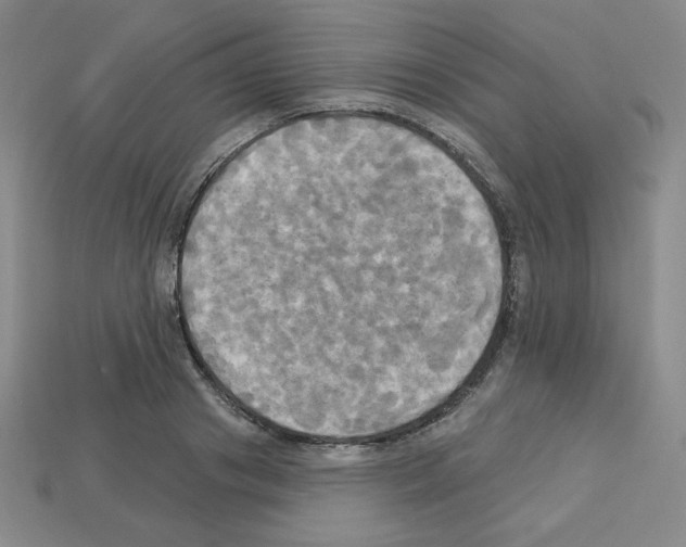 X0000113050841200910081230