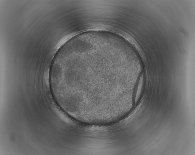 X0000113050842200910081230