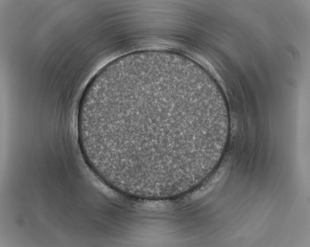 X0000113050843200910081230