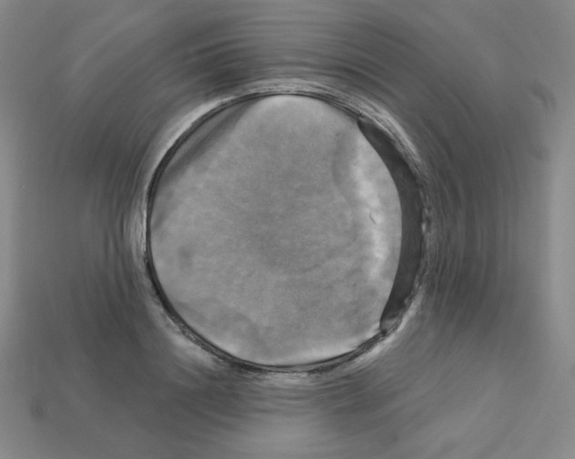 X0000113050844200910081230