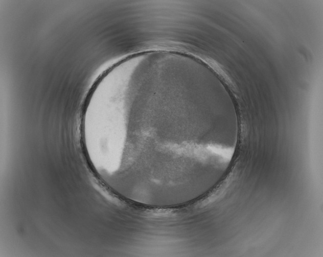 X0000113050846200910081230