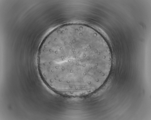 X0000113050847200910081230
