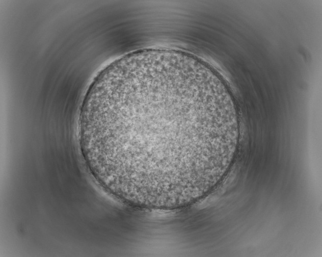 X0000113050848200910081230