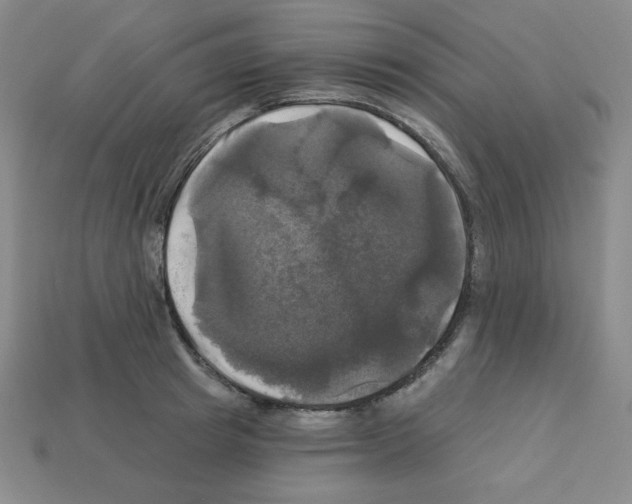 X0000113050849200910081230