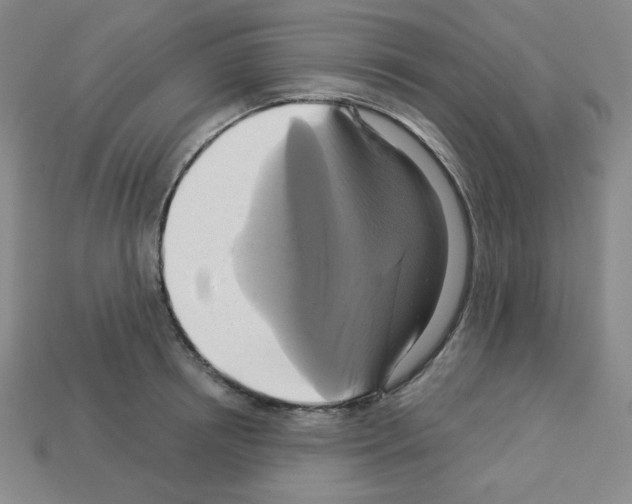 X0000113050850200910081230