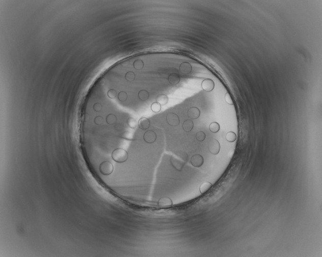 X0000113050851200910081230