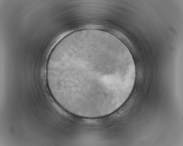 X0000113050852200910081230