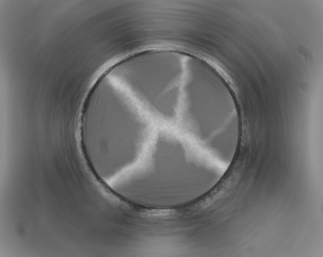 X0000113050853200910081230