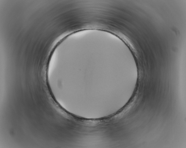 X0000113050854200910081230