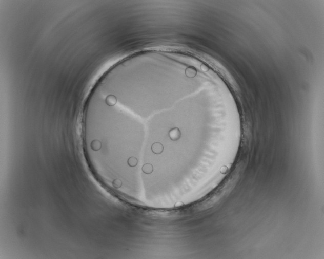 X0000113050855200910081230