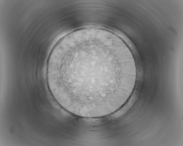 X0000113050856200910081230