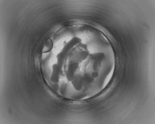X0000113050857200910081230