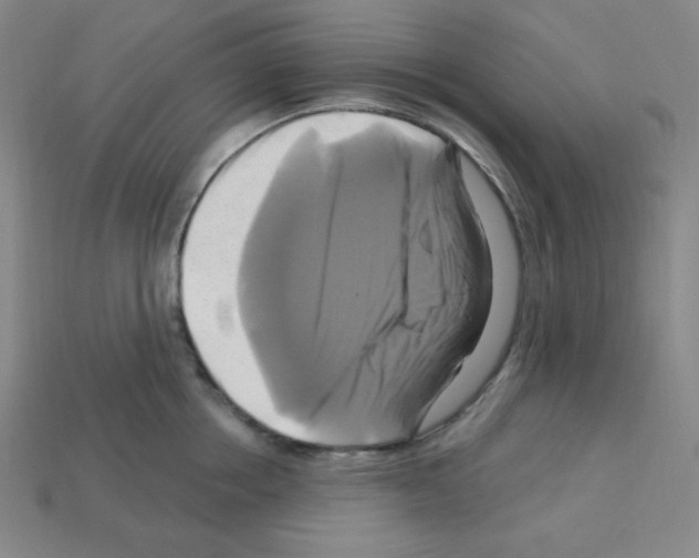 X0000113050858200910081230