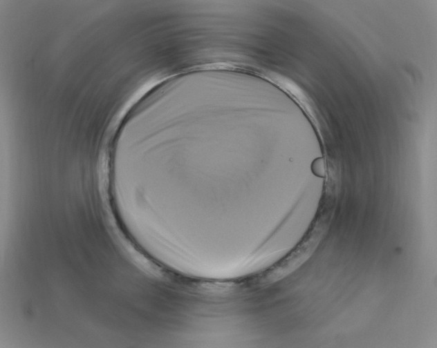 X0000113050859200910081230