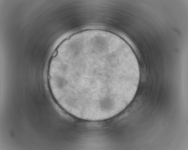 X0000113050861200910081230