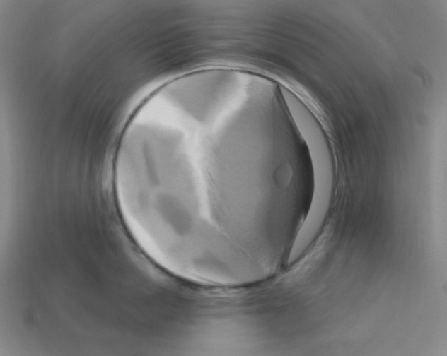 X0000113050862200910081230