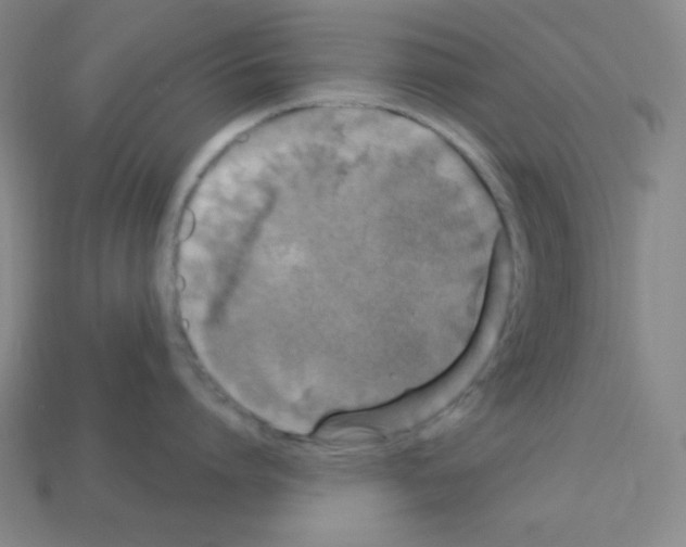 X0000113050864200910081230