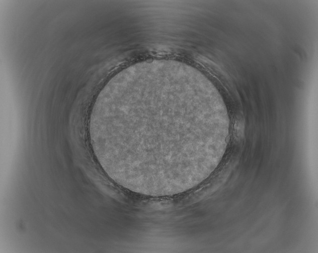 X0000113050865200910081229