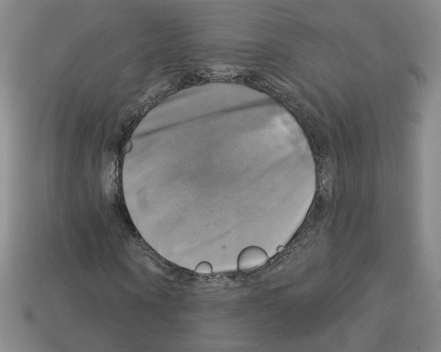 X0000113050866200910081229