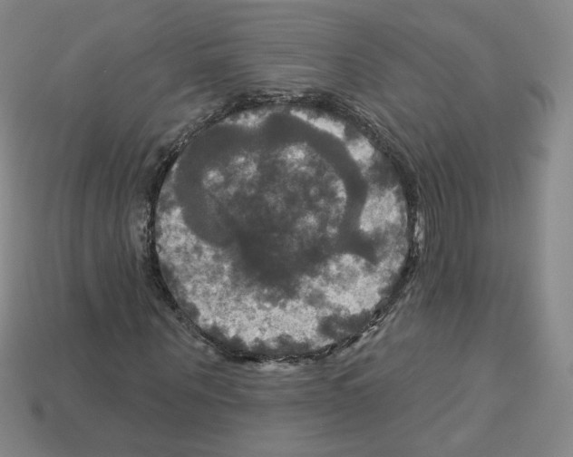 X0000113050867200910081229