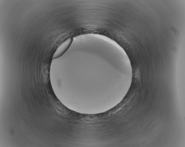X0000113050868200910081229