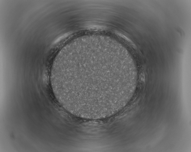 X0000113050869200910081229