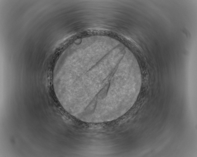 X0000113050870200910081229