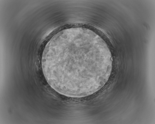 X0000113050871200910081229