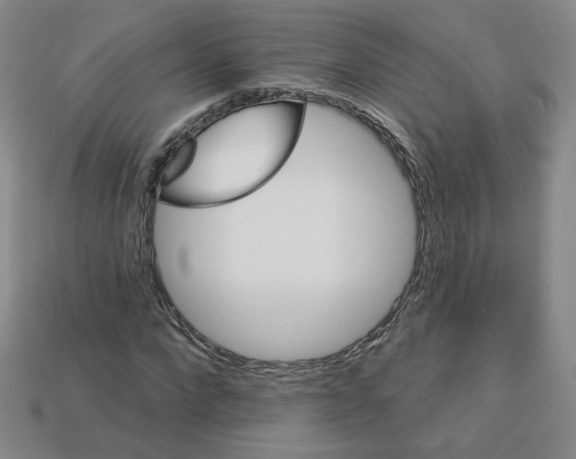 X0000113050872200910081229