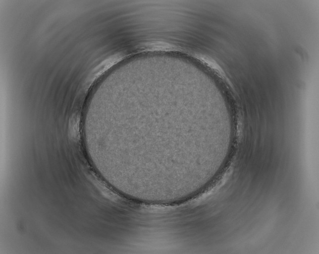 X0000113050873200910081229