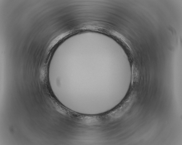 X0000113050874200910081229