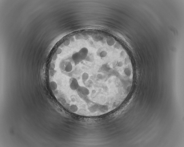 X0000113050875200910081229