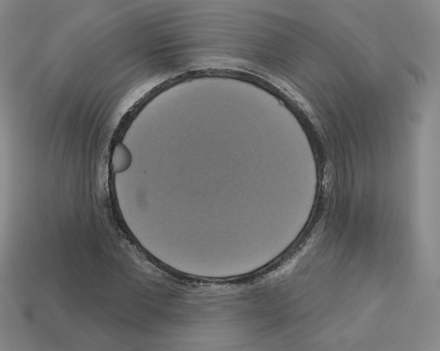 X0000113050877200910081229